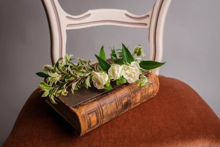 ज़ेनसूत्रों की पुस्तक