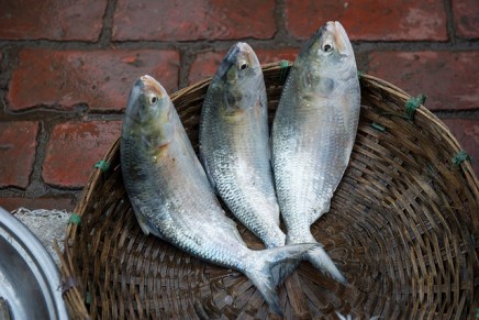 मछली की टोकरी