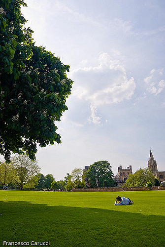 man reading in park