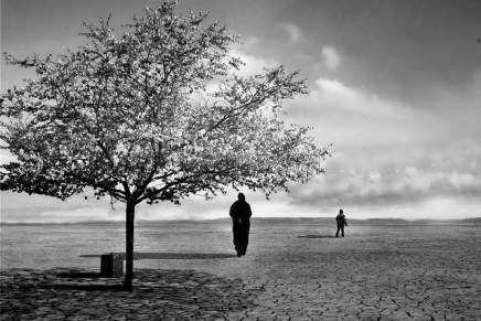 सत्य का धरातल