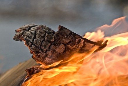 दोस्ती की आग