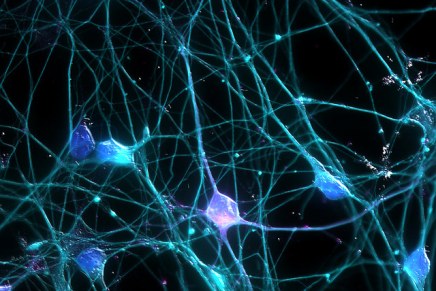 दिमाग में यादें कहां स्टोर होती हैं? क्या उन्हें कम्प्यूटर पर ट्रांसफ़र किया जा सकता&nbsp;है?