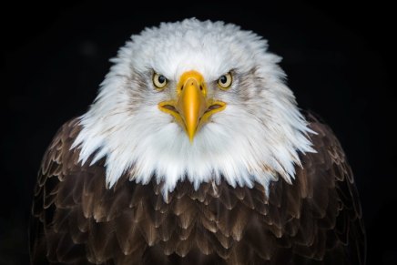 क्रोध का उपचार कैसे&nbsp;करें?