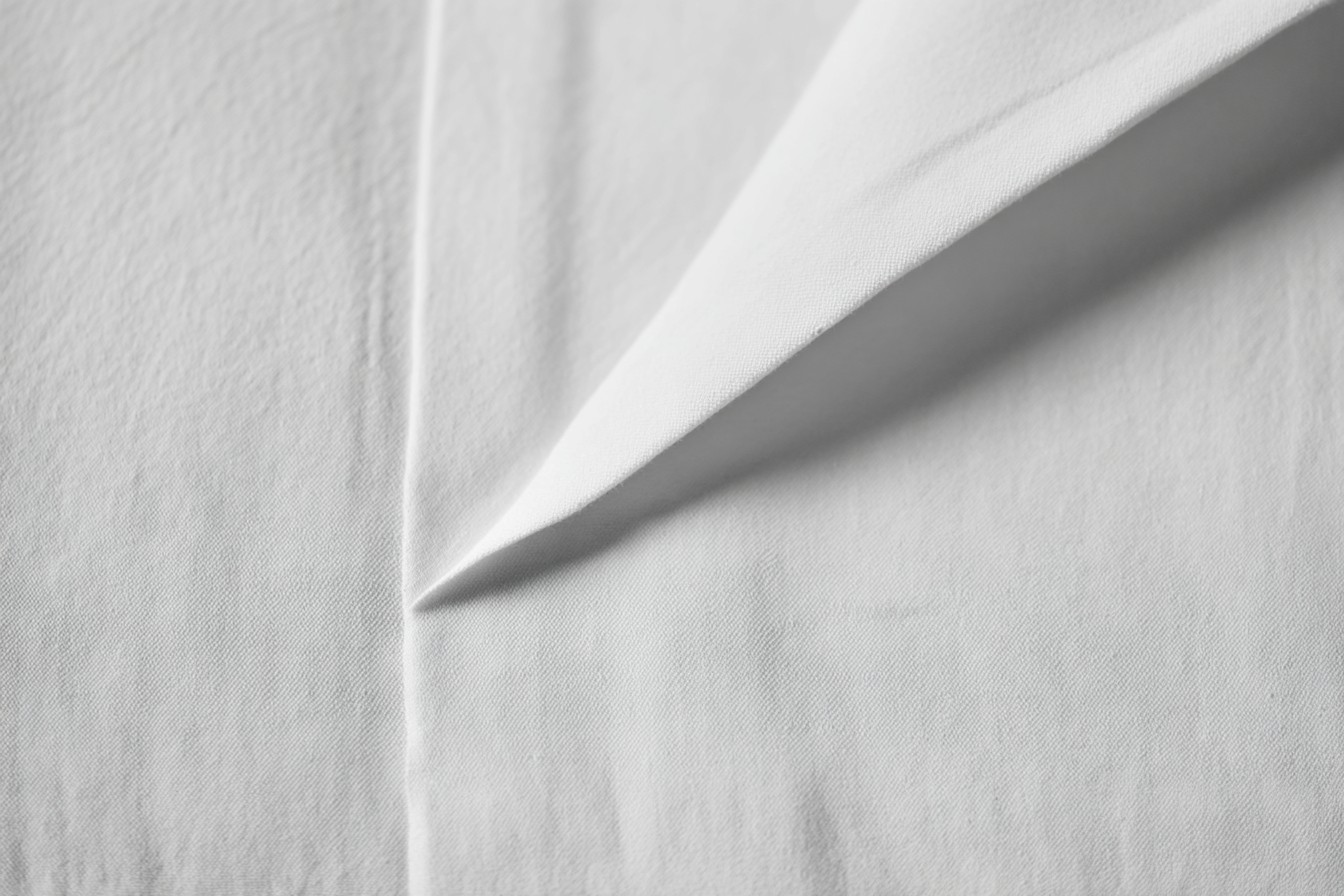 बिस्तर जमाओ — और दुनिया बदलो